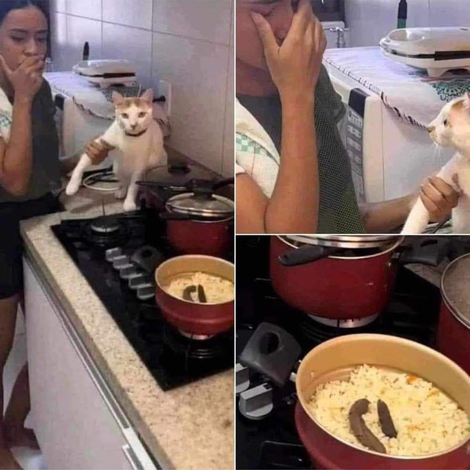 rice-cooker-shit.jpg