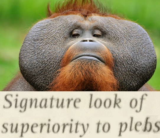 signature-look-of-superiority.jpg